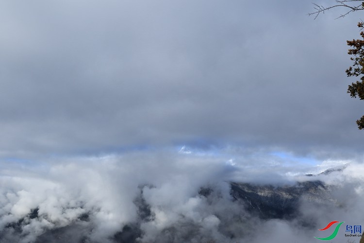 0S2A0760.JPG