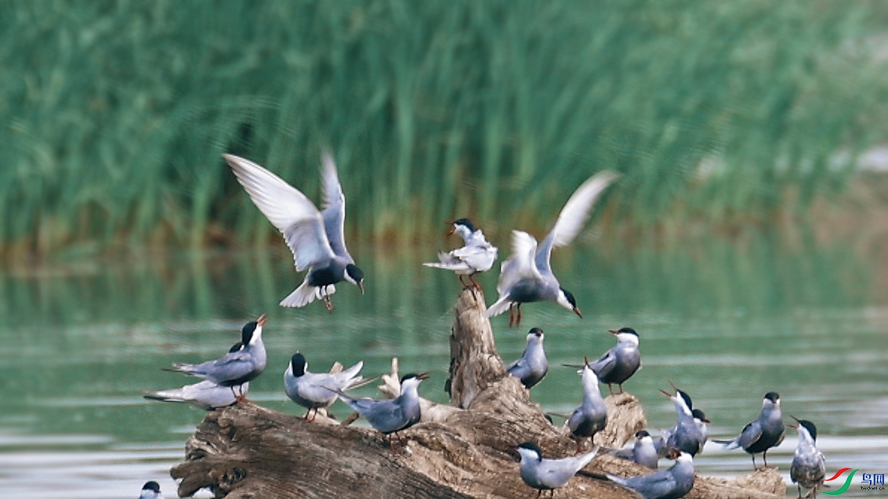 ���� 01.00_00_10_17.Still001.jpg