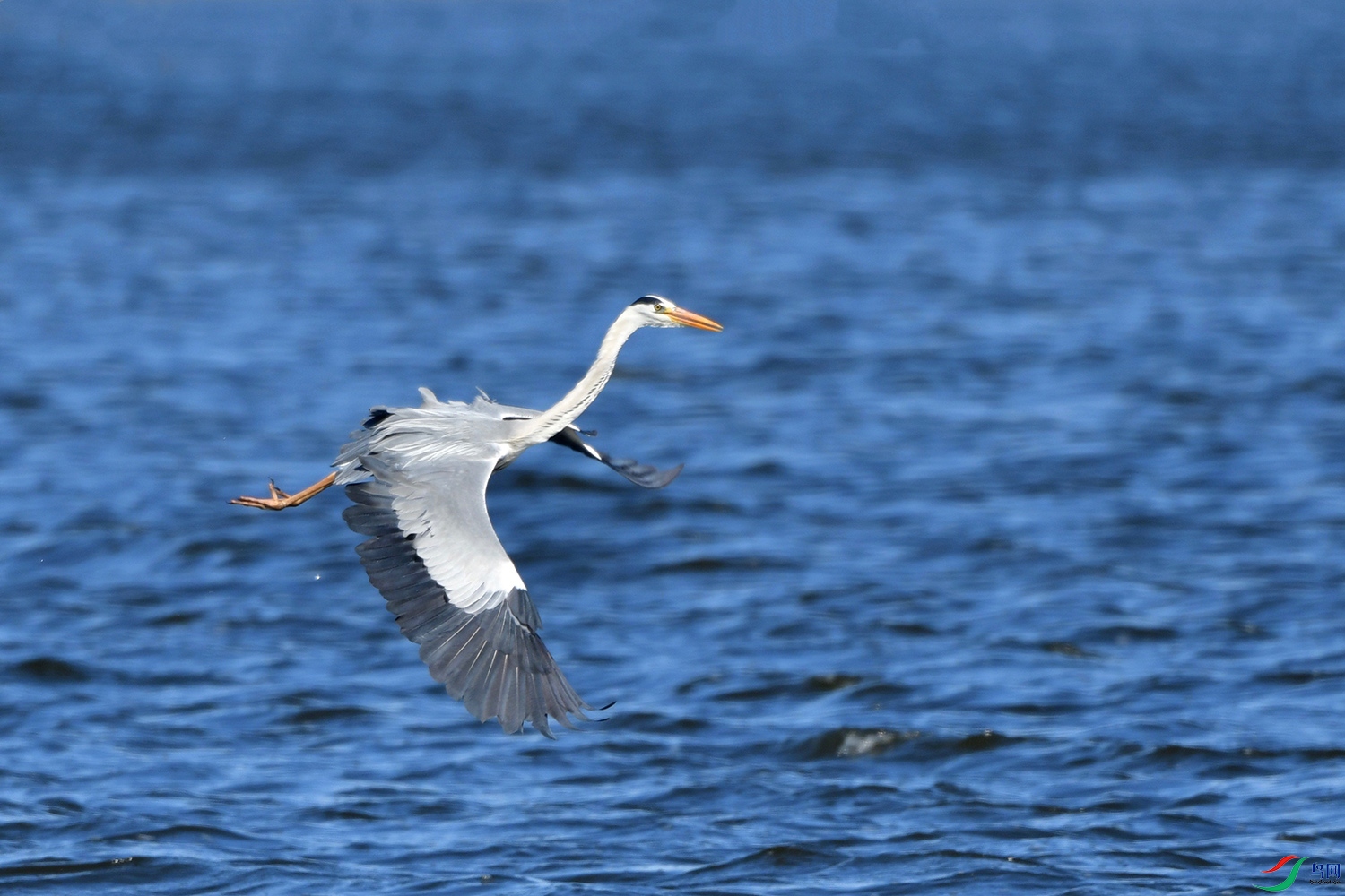 DSC_0176.jpg