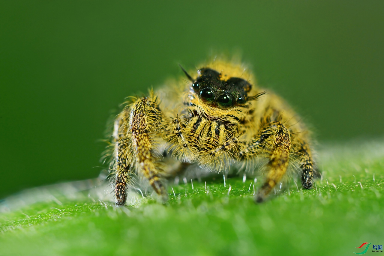 DSC_3560 ��������.jpg