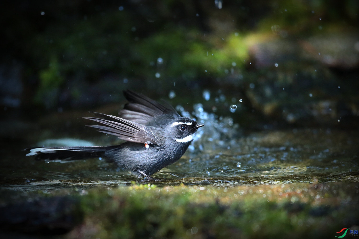 ��ü��β�l