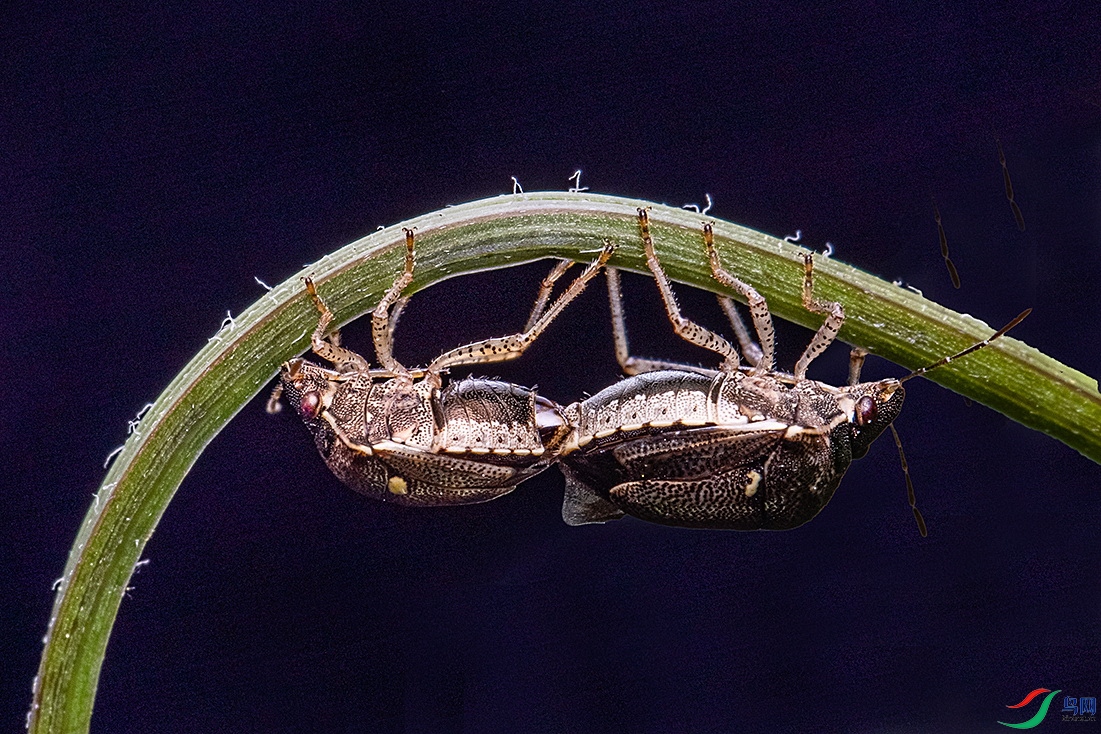 911A6887.jpg