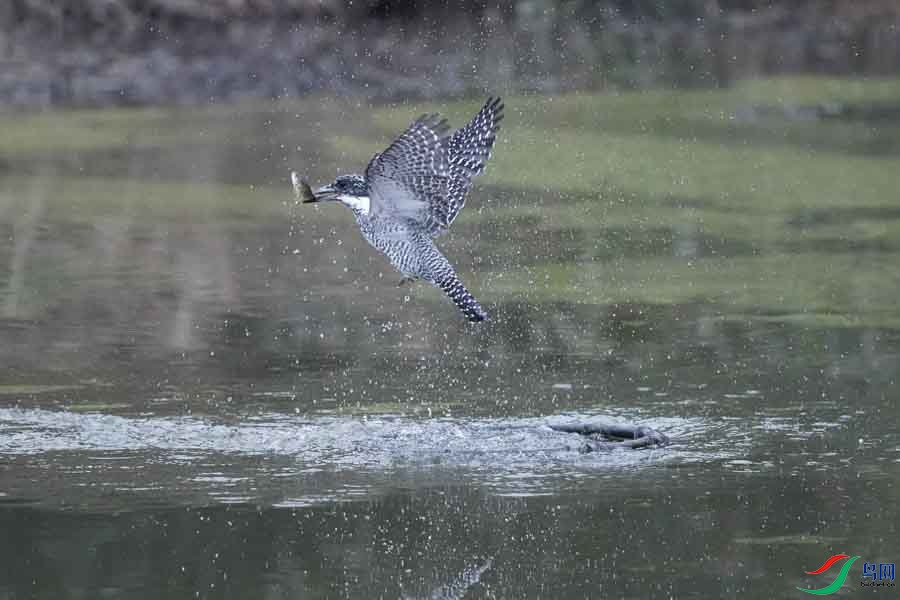 20180224-DSC00979-25 - ���� (2).JPG