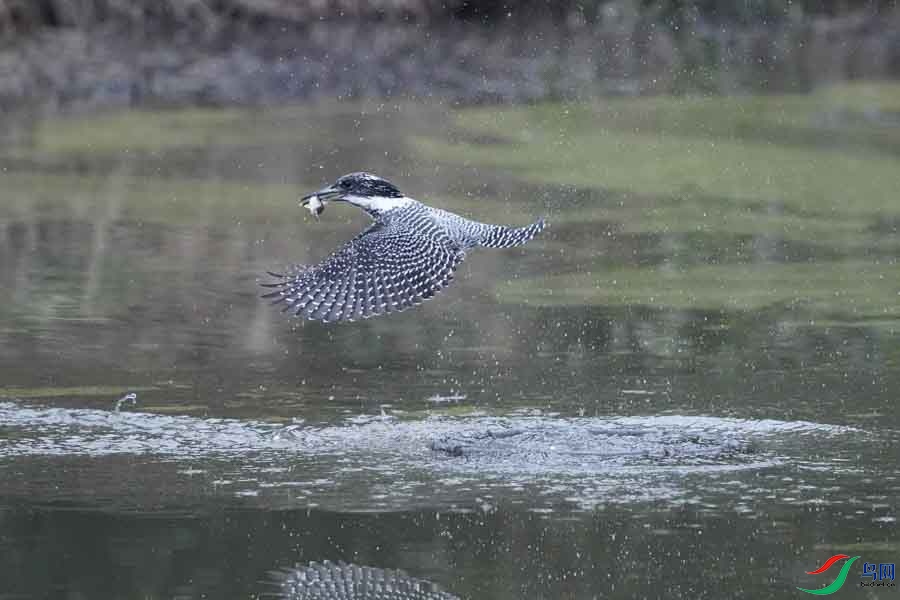 20180224-DSC00982-28 - ���� (2).JPG