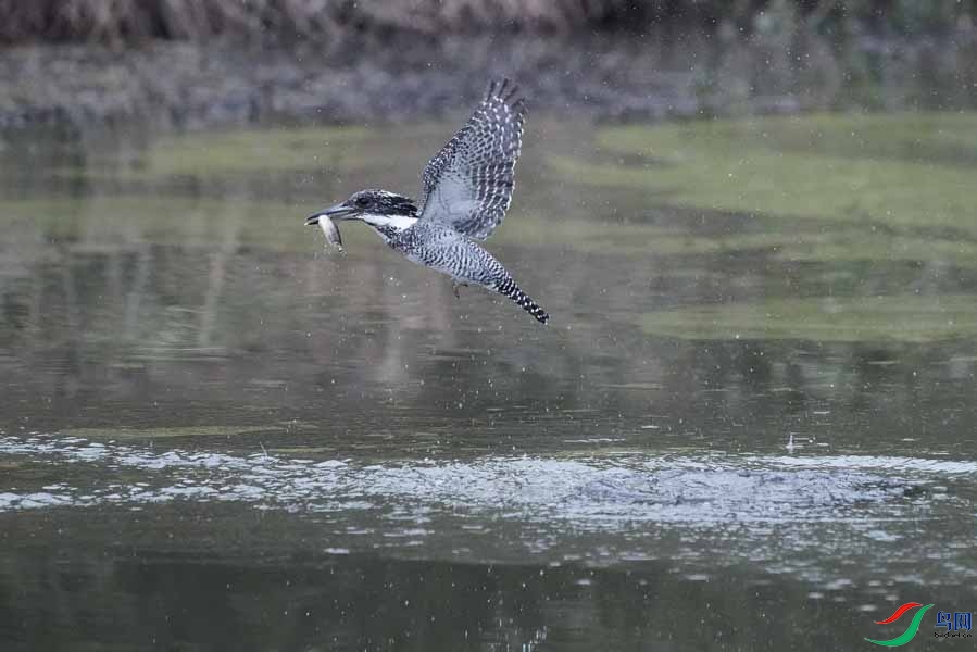 20180224-DSC00985-31 - ���� (2).JPG