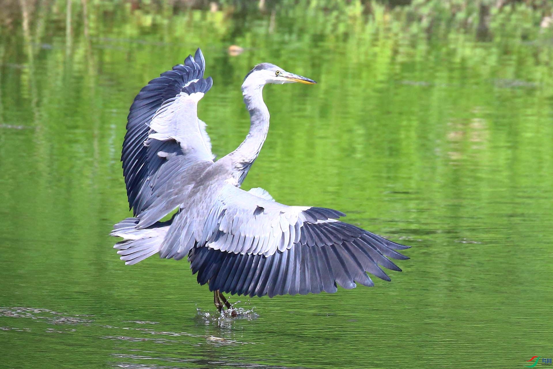 1IMG_0883.JPG
