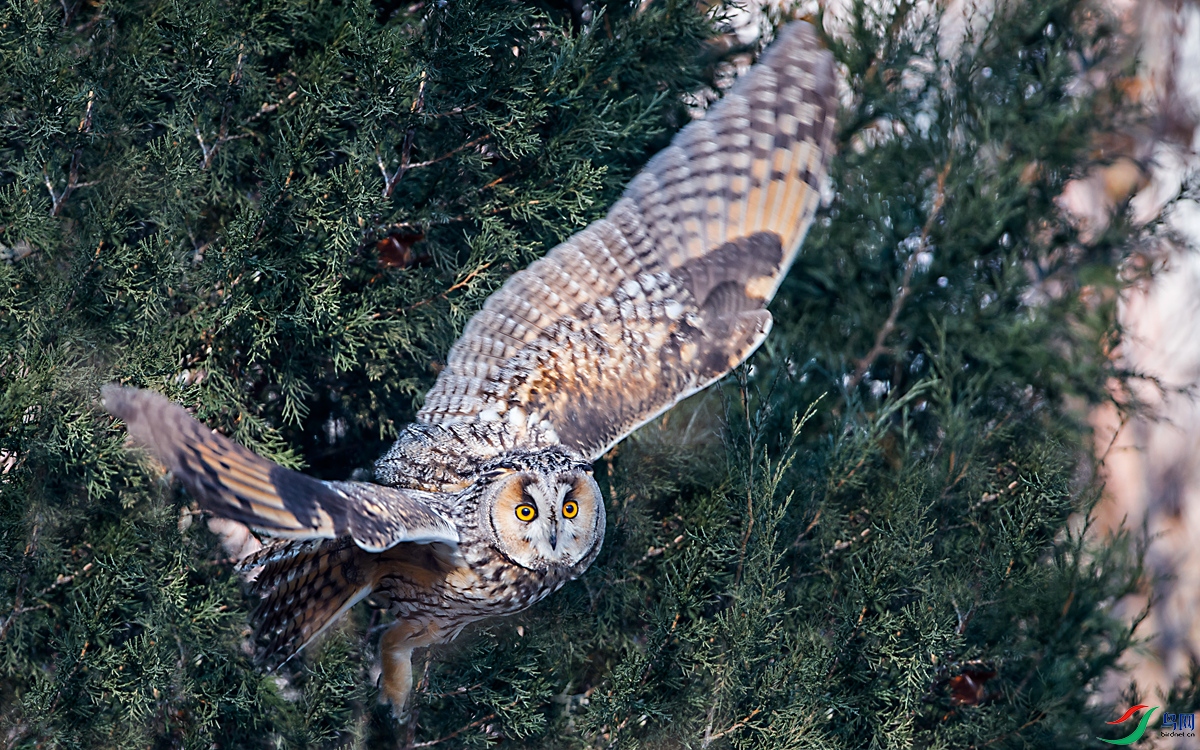 DSC_4337.jpg