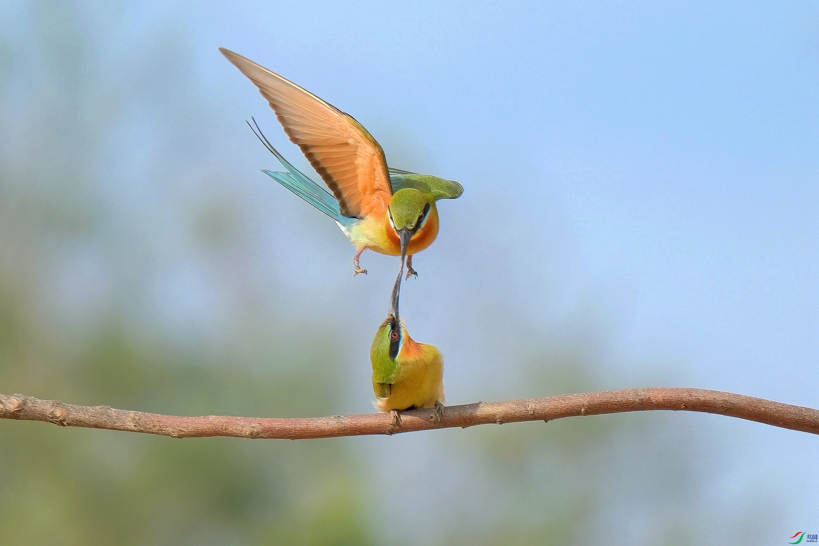 DSCF6286_����-DeNoiseAI-denoise_���� (1).jpg