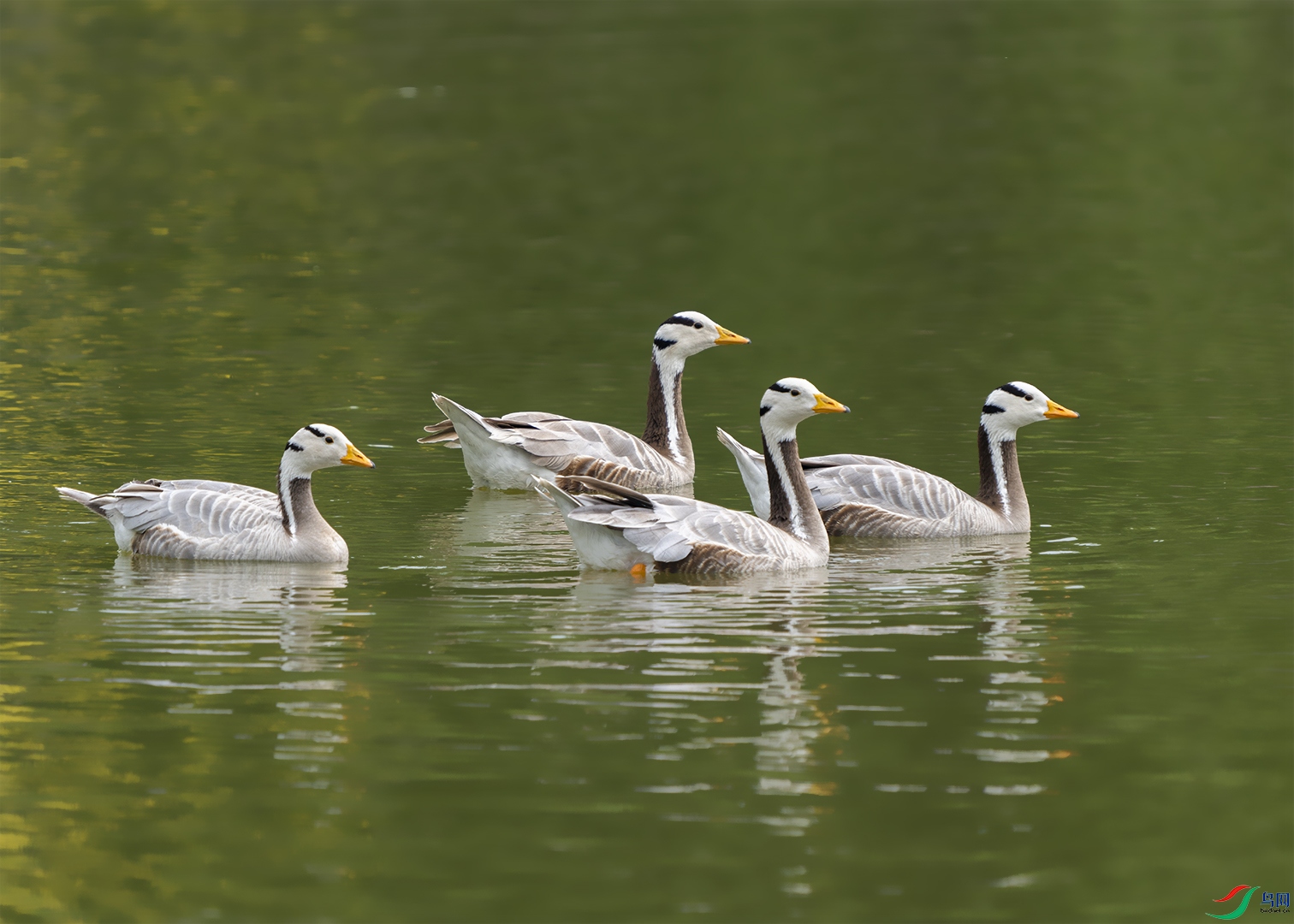 _DSC6516-1.jpg