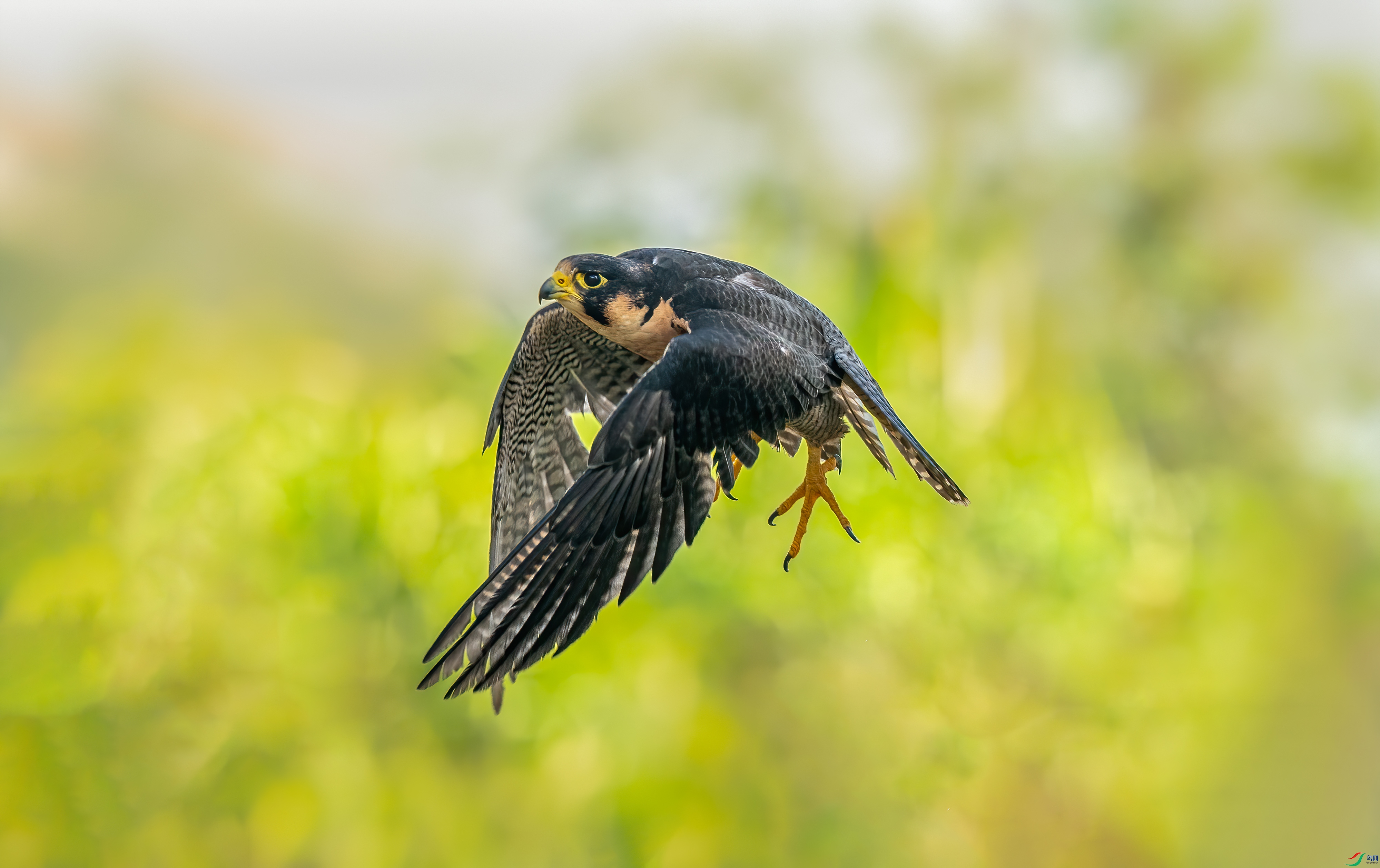 DSC04144-1.jpg