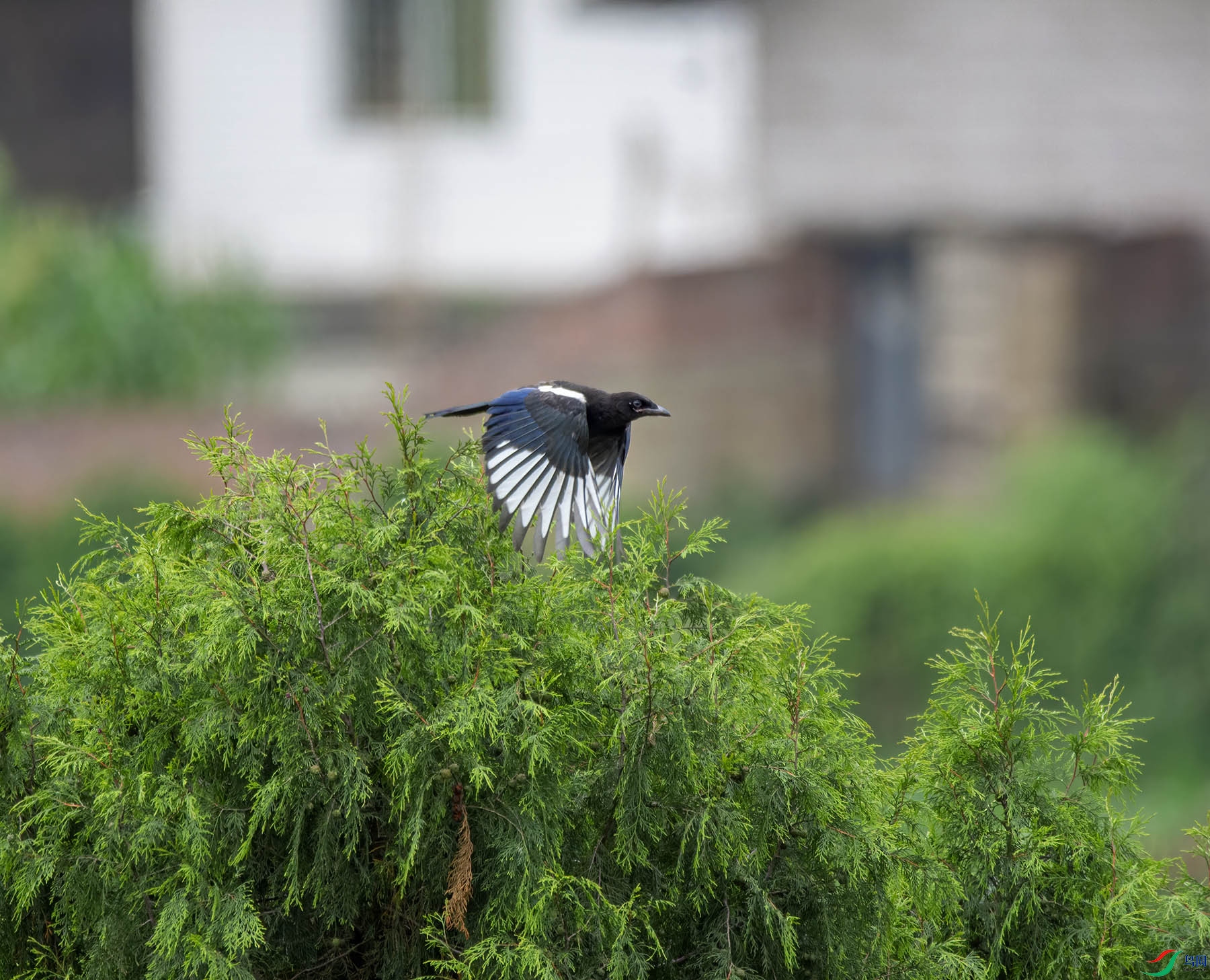 DSC_1806.jpg