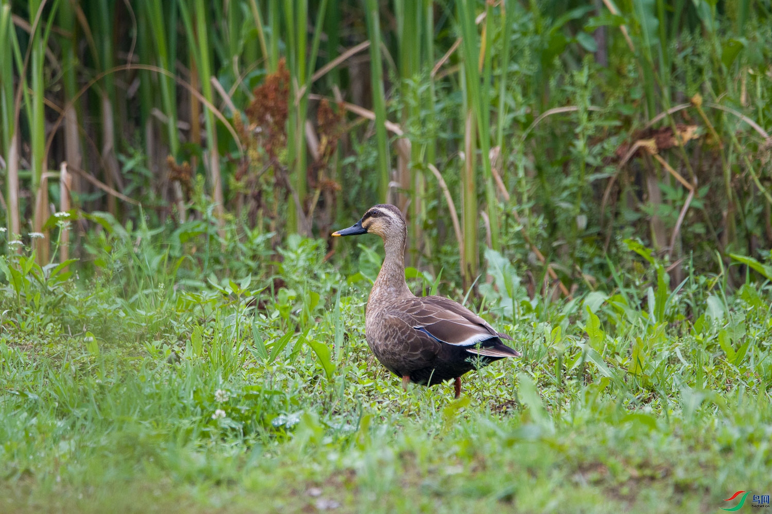 DSC_3535.jpg