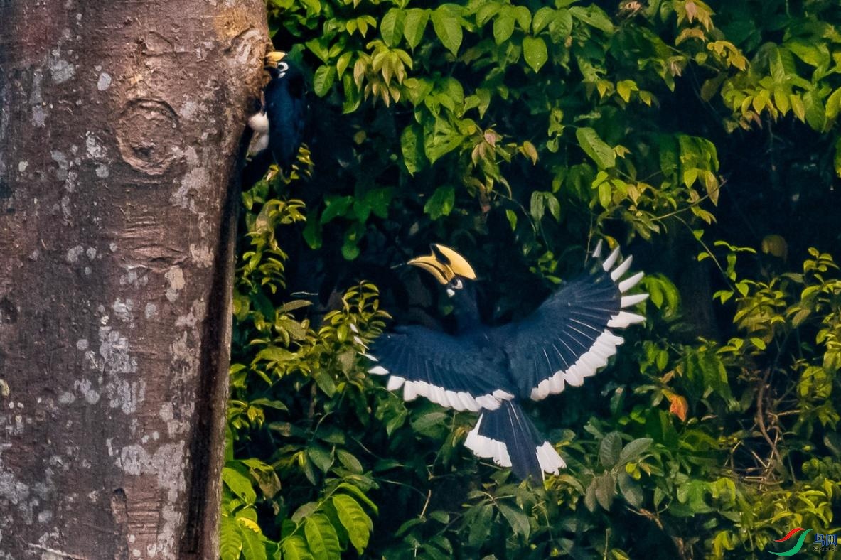 ͼƬ37.jpg