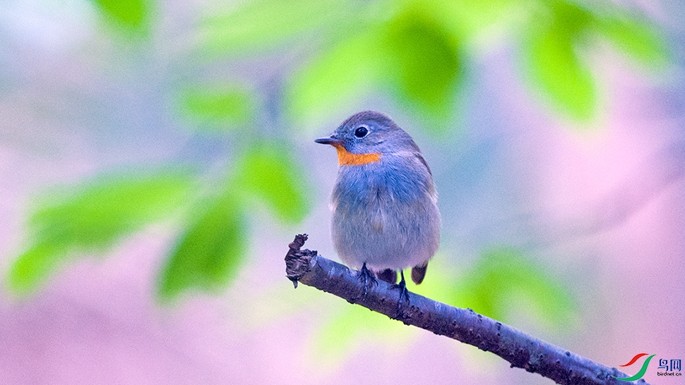 ��DSC_6418.jpg
