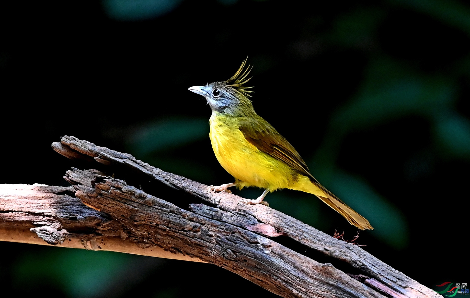 ��Т  ��ʦ����������ʡ �º���徰���������� ӯ����.jpg