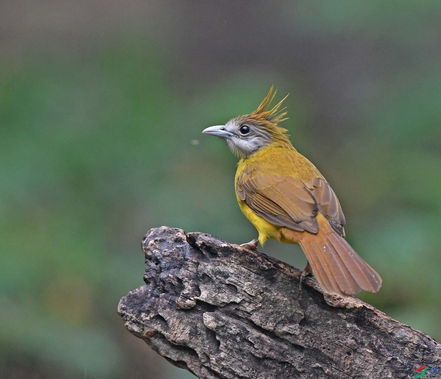 ����ӭ��  ��ʦ����������ʡ �º���徰����������ӯ����0.jpg