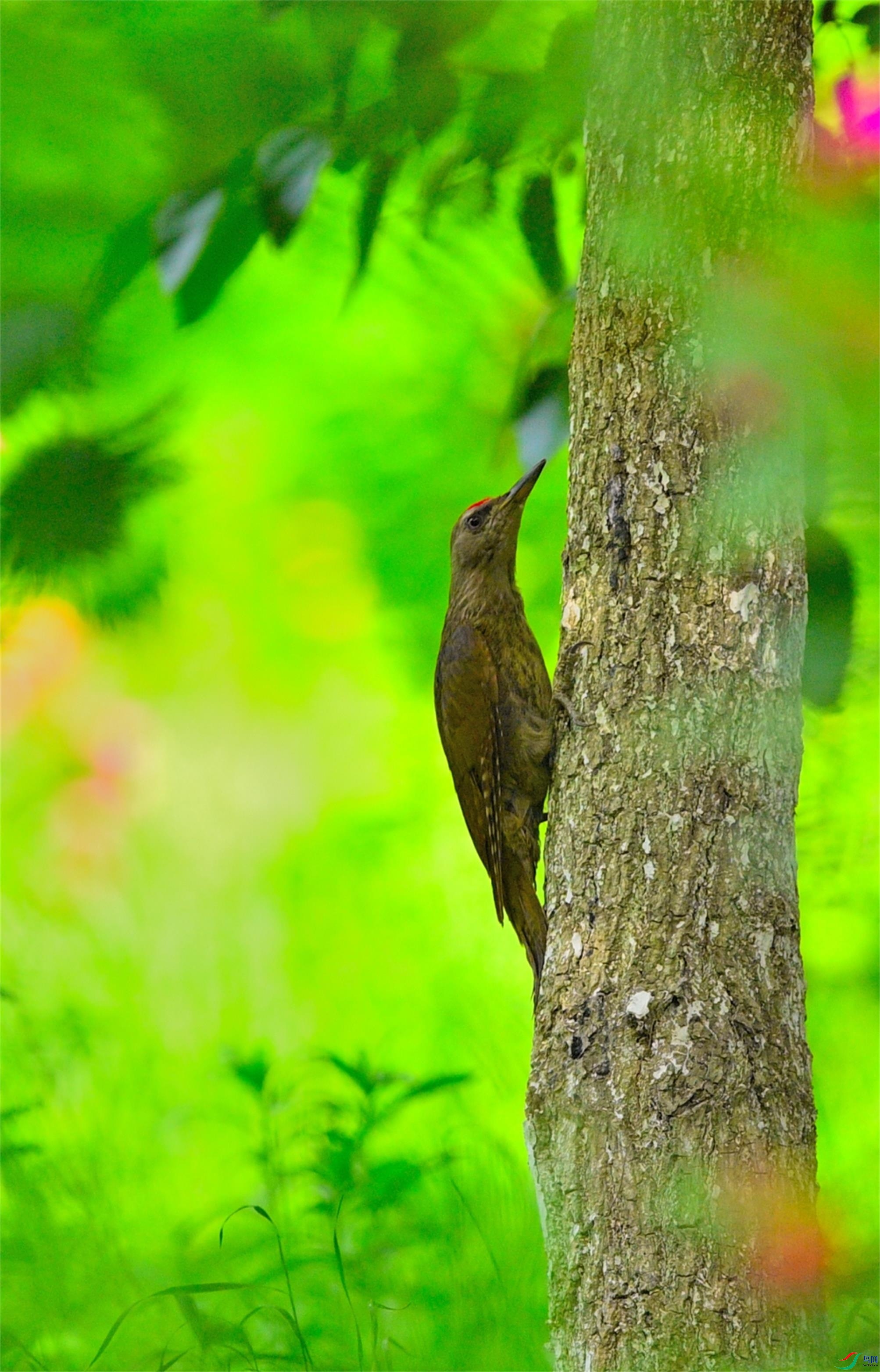 DSC_35571.jpg