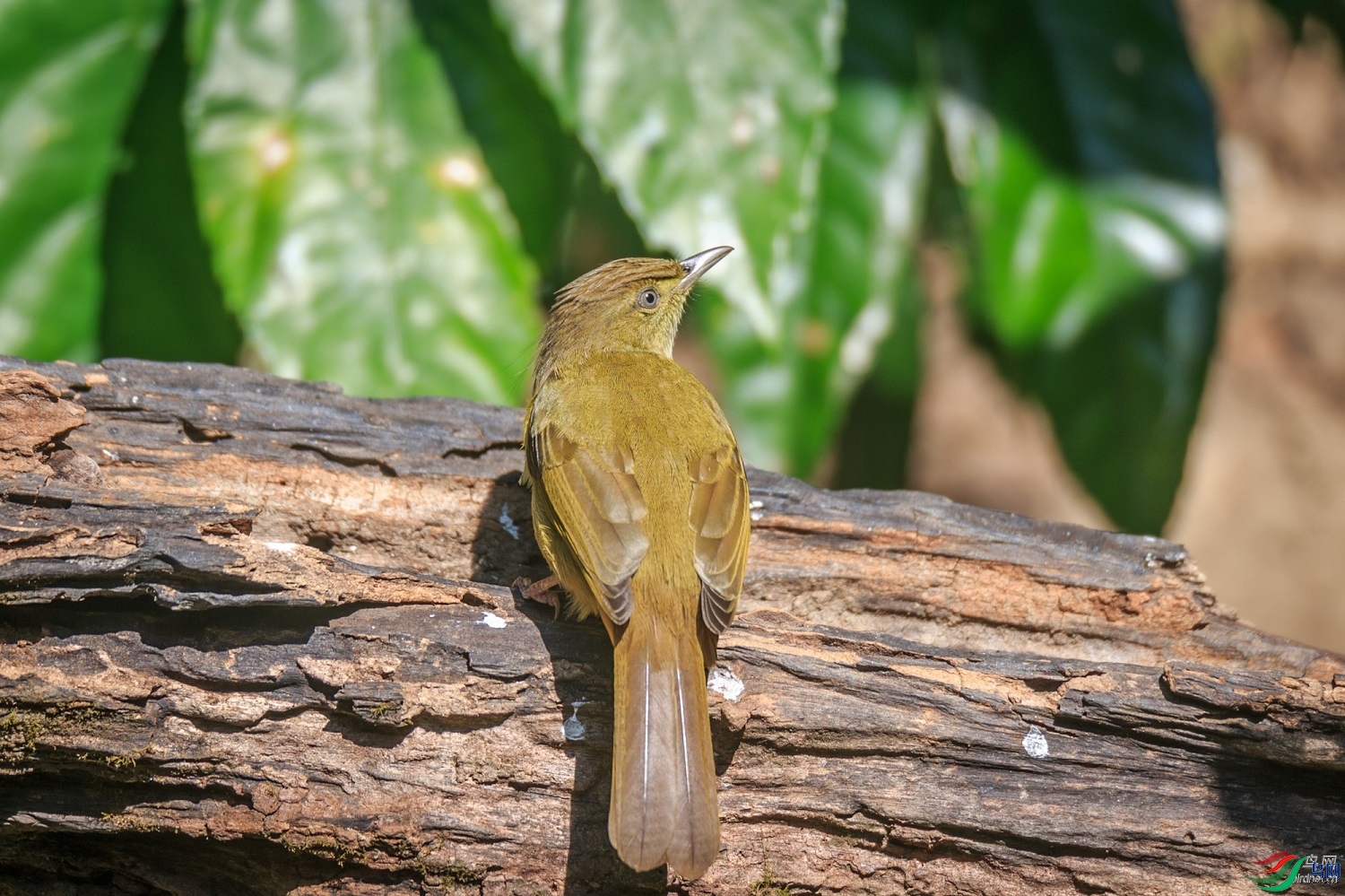 ϲ��  ��ʦ����������ʡ�º���徰����������̫ƽ��0.jpg