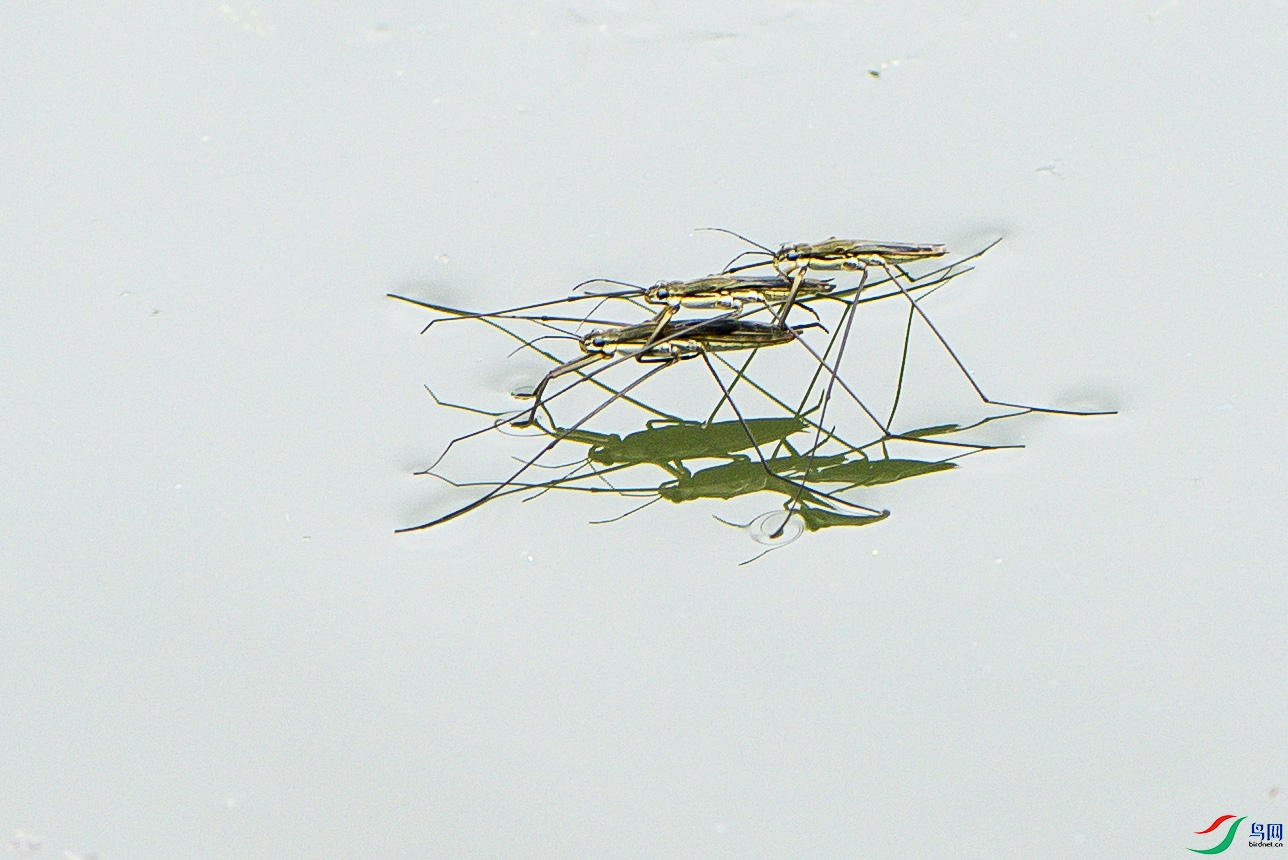 DSC_2308.jpg