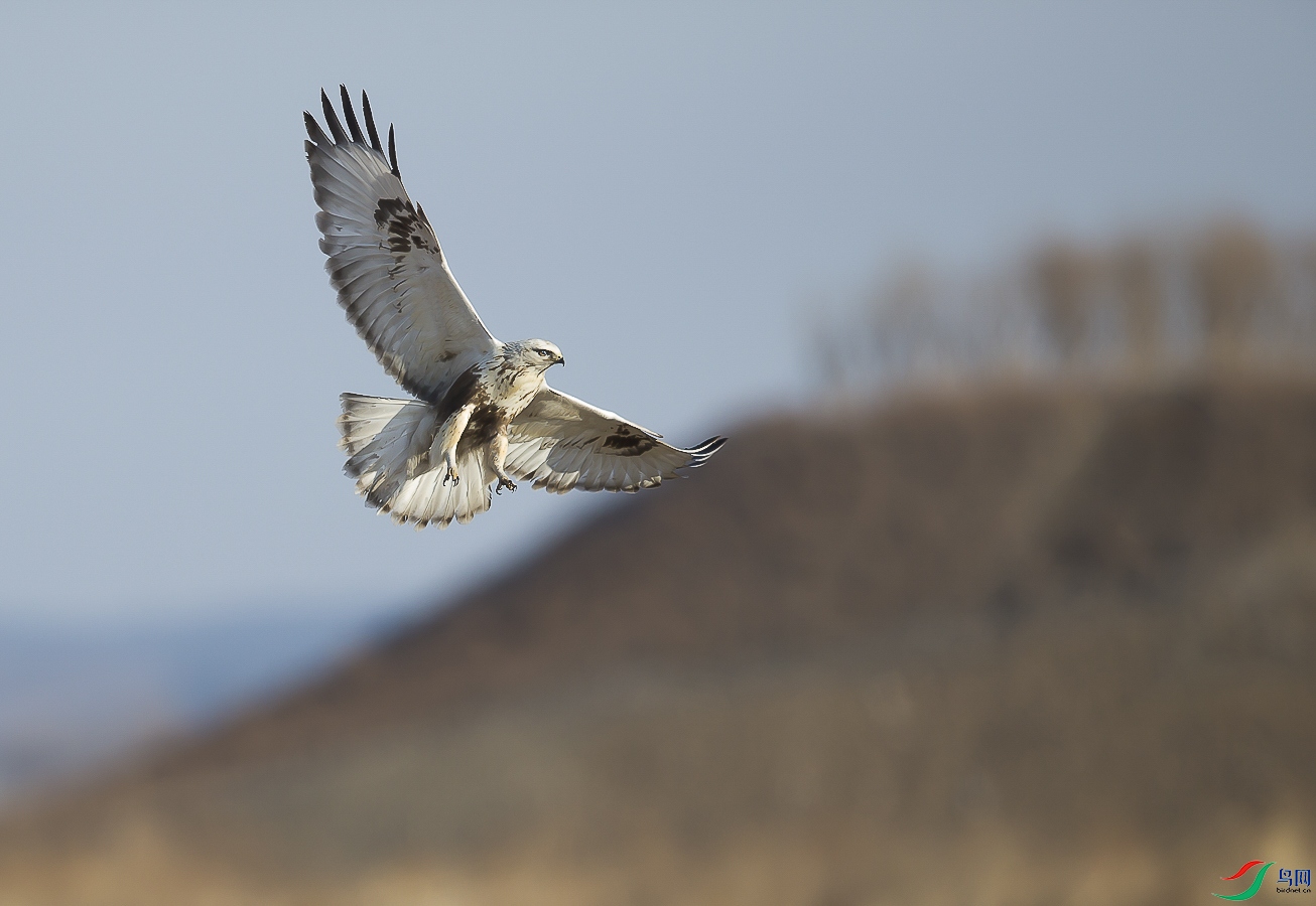 _01R7527-2.jpg