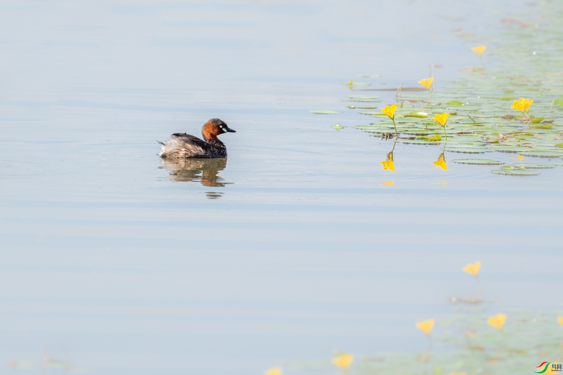 DSC_5962-2.jpg