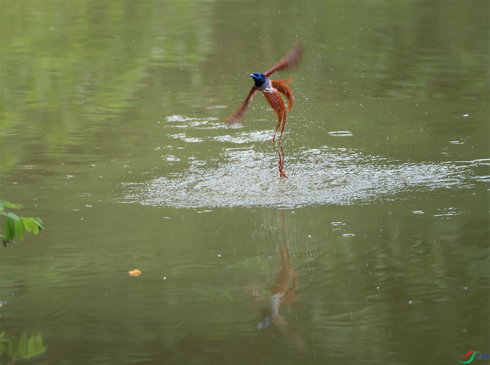 DSC_1607.jpg