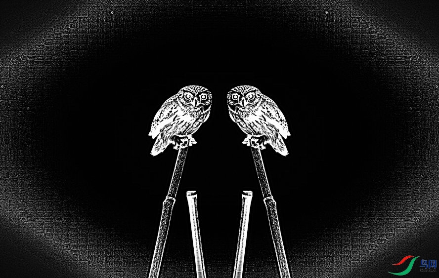 BW6I2212_����_����2_����1_����.jpg