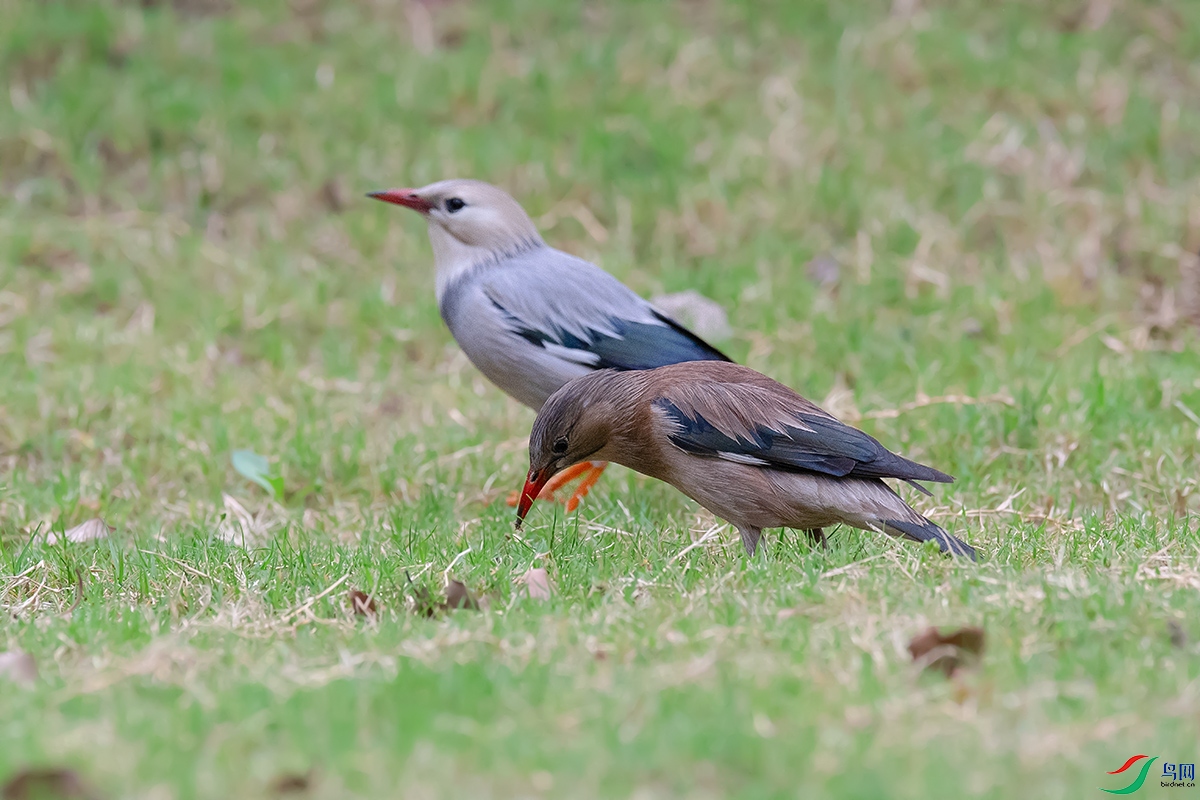 DSC_p3512.jpg
