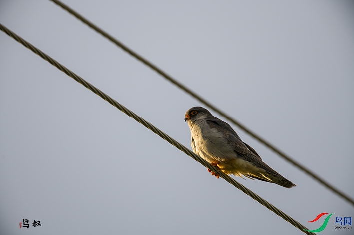 DSC_4766.jpg