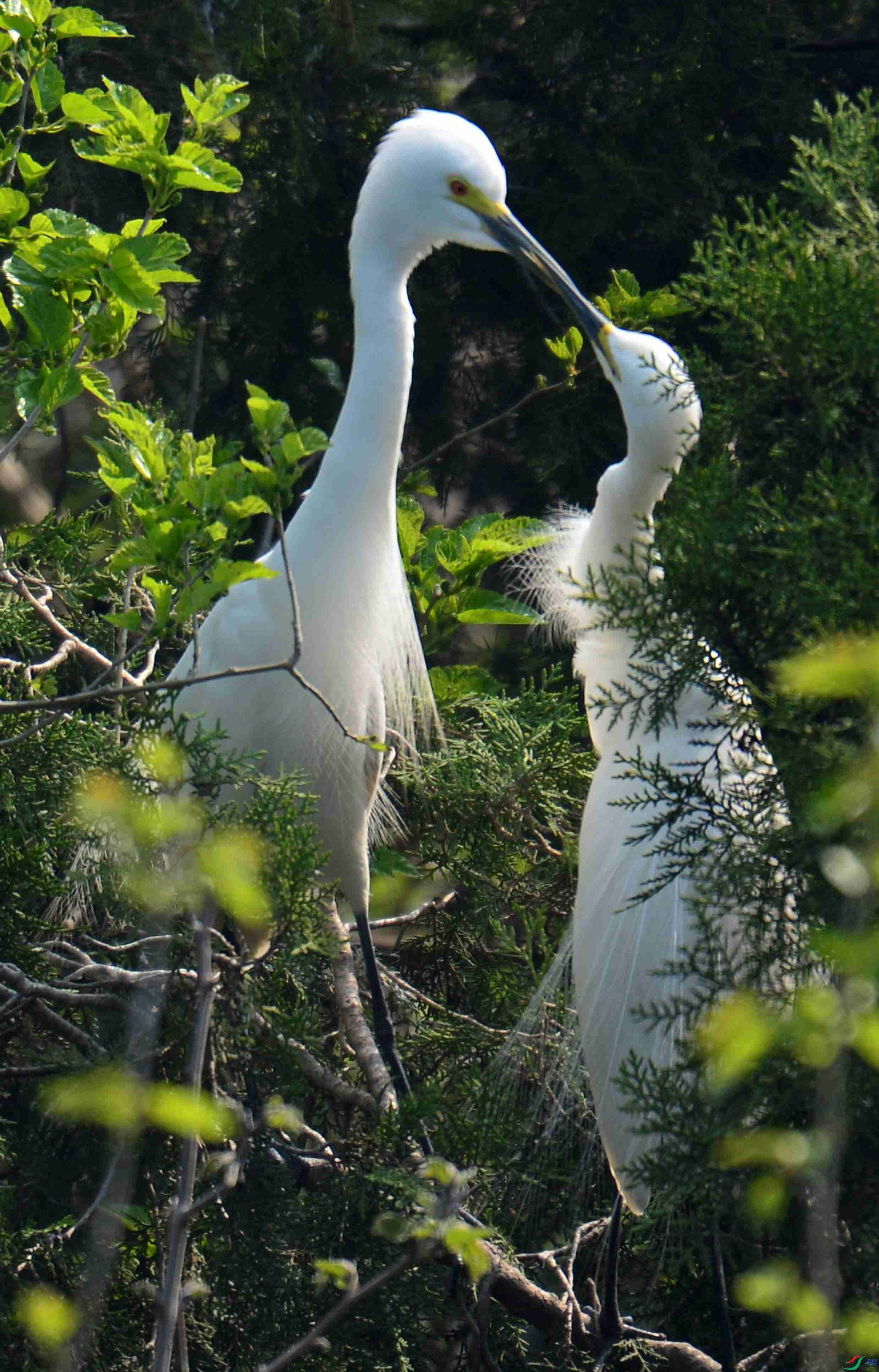 DSC_4943.jpg