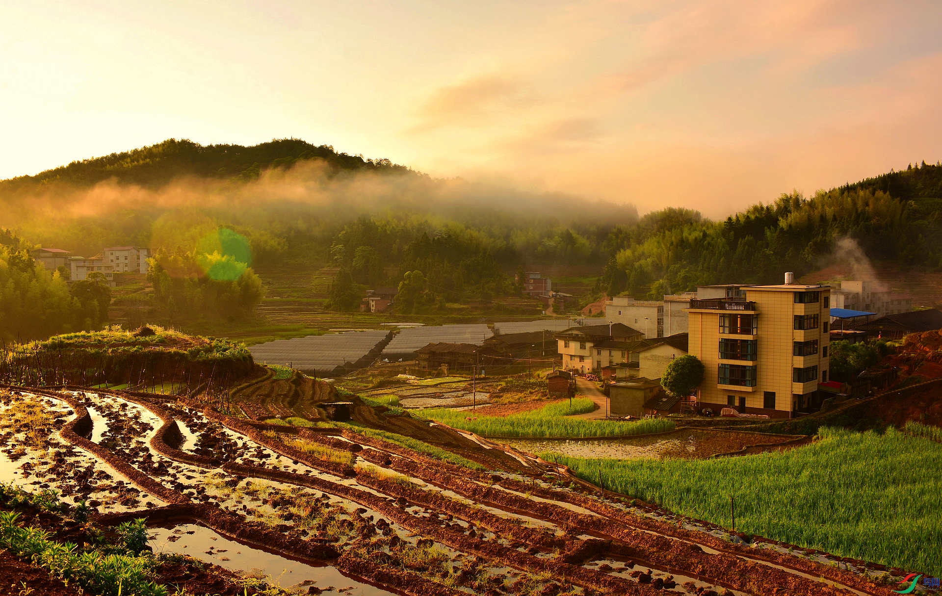 乡村早晨图片 唯美图片