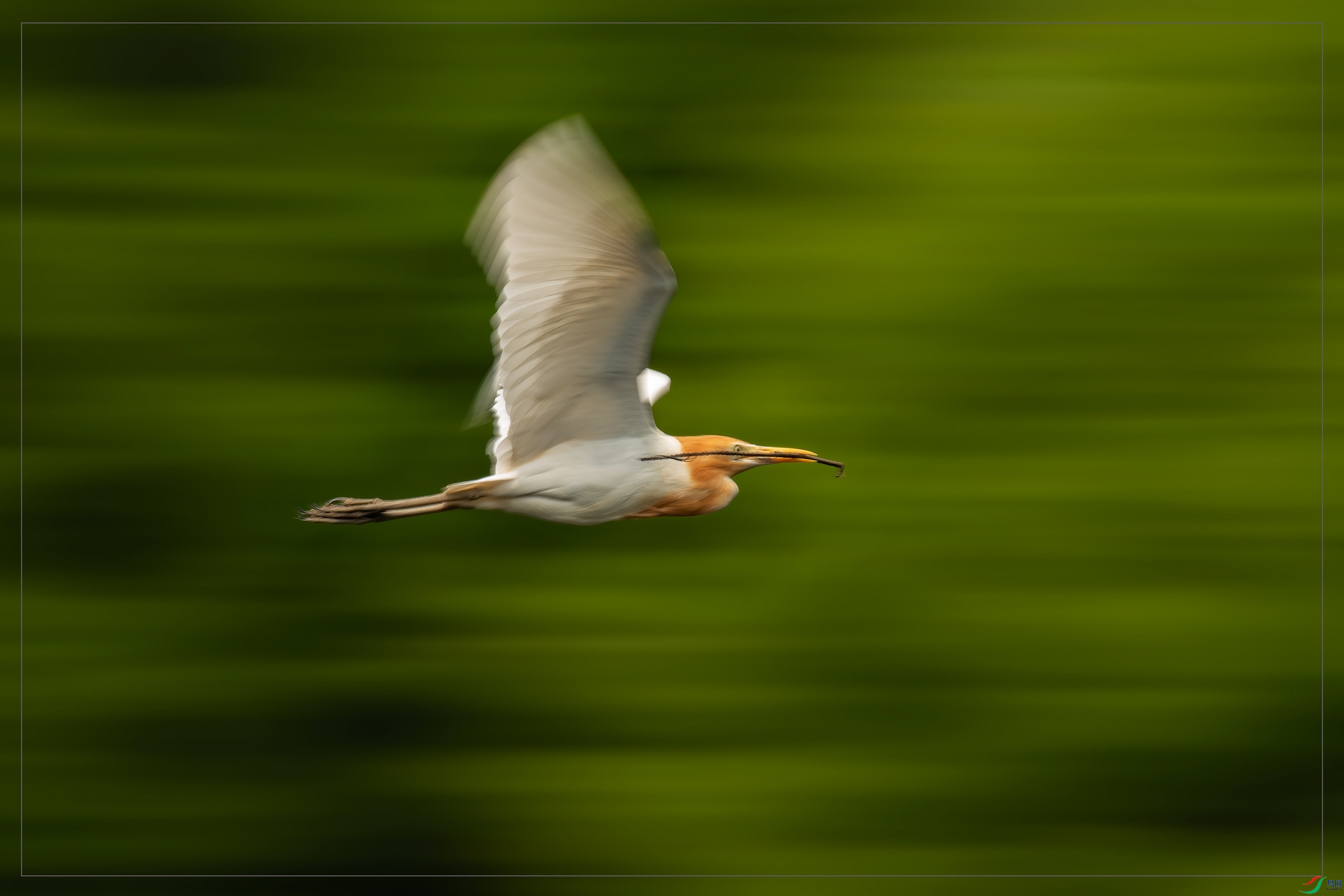 DSC_8572.jpg