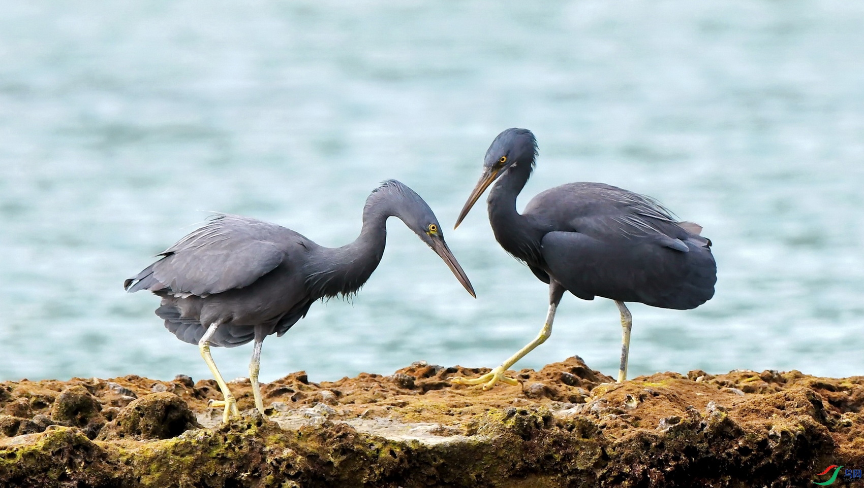 IMG_20191215_075648 - ����.jpg