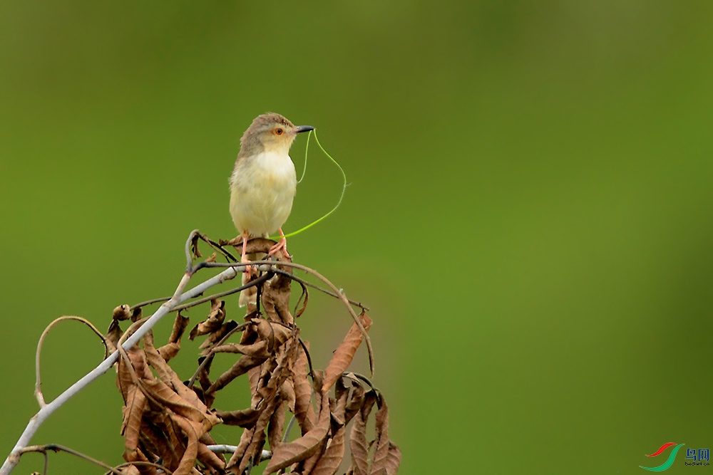 DSC_9730mm.jpg