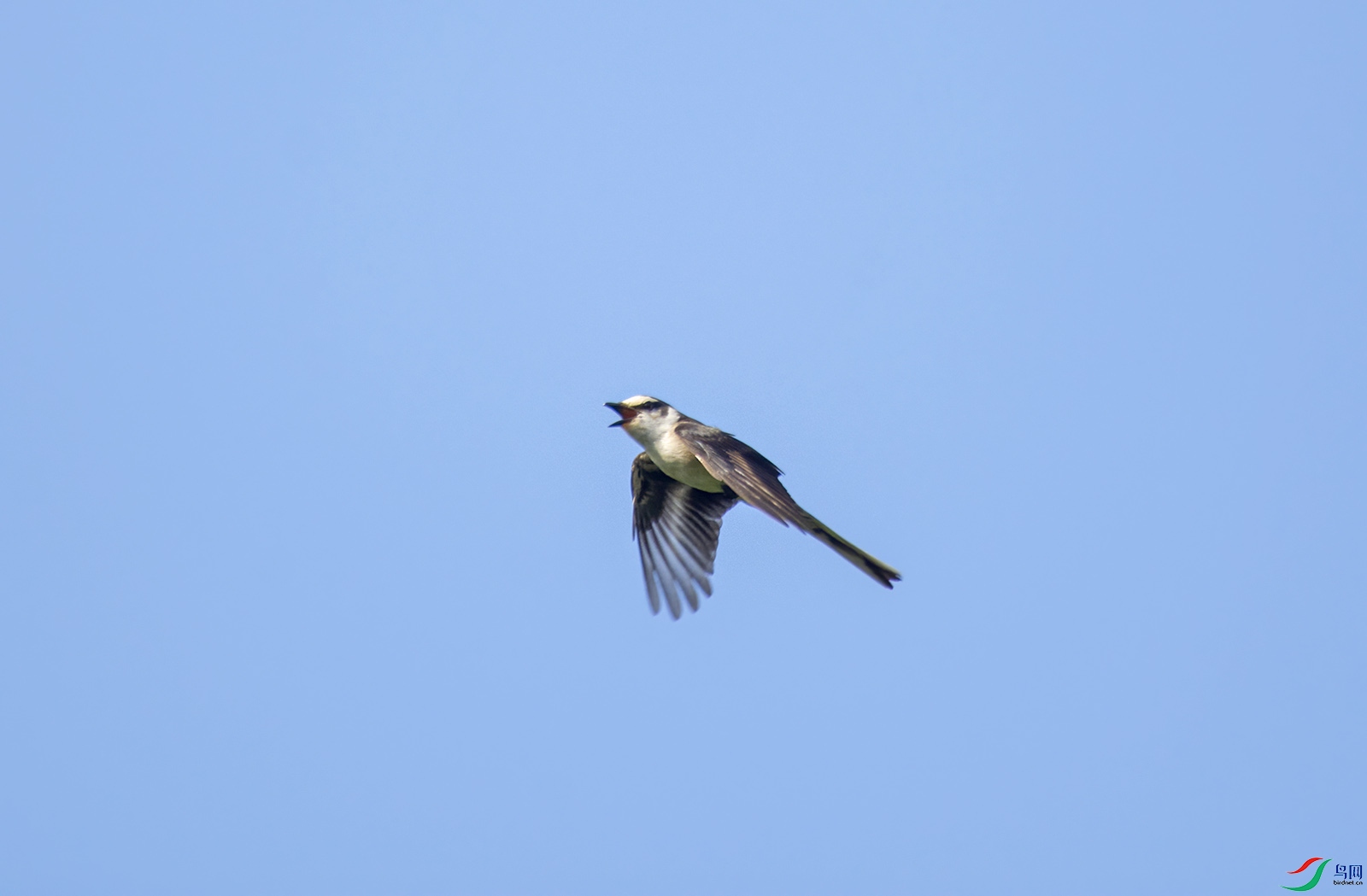 DSC_5423.jpg