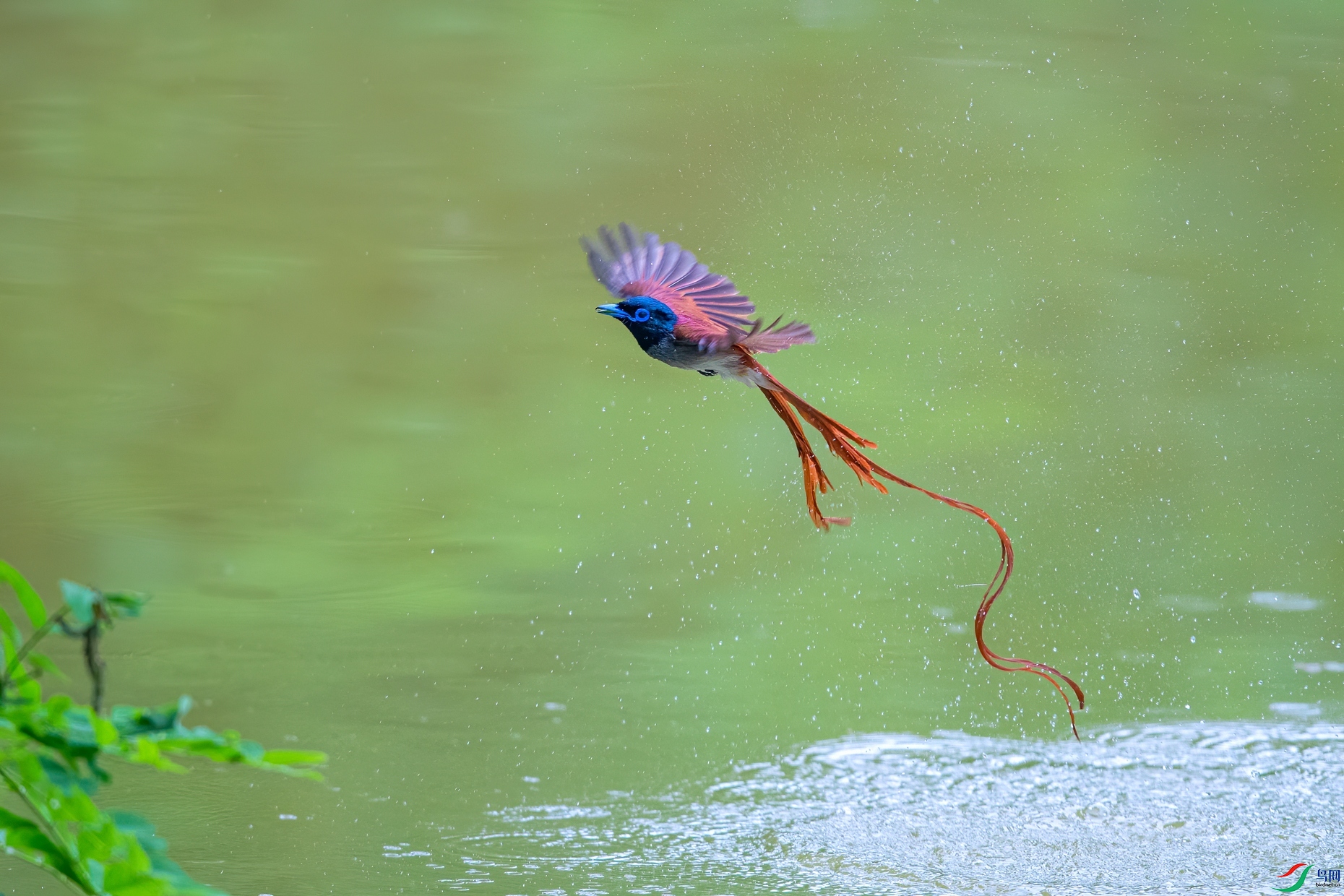 ��ƬDSC_0625.jpg