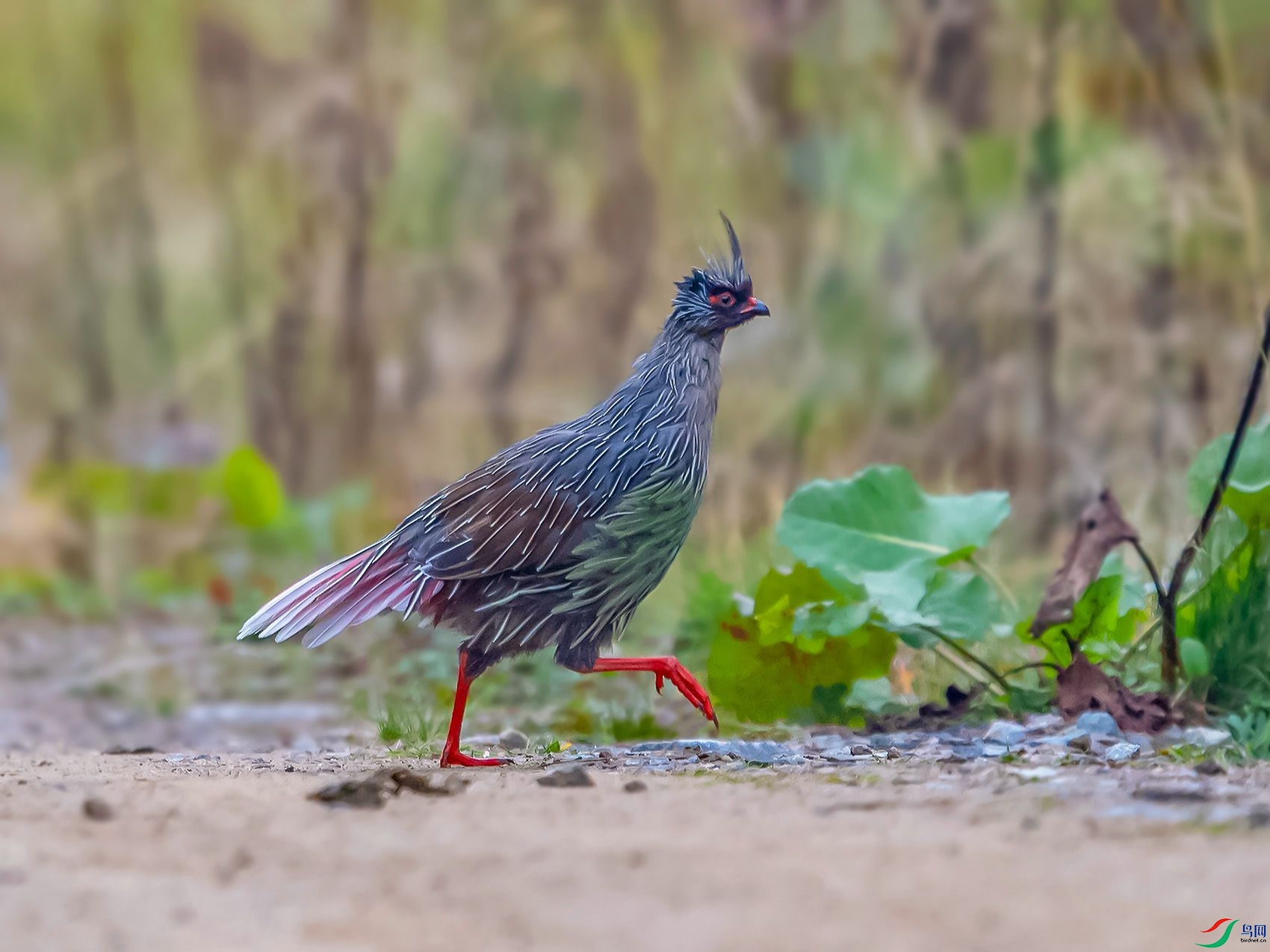 DSC_3338.jpg