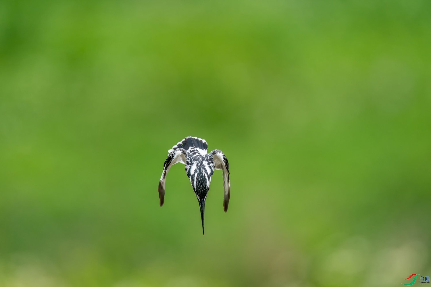 A9D03535a.jpg