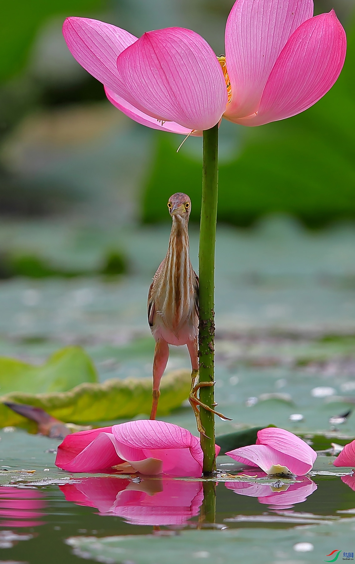 1DX_1067.jpg