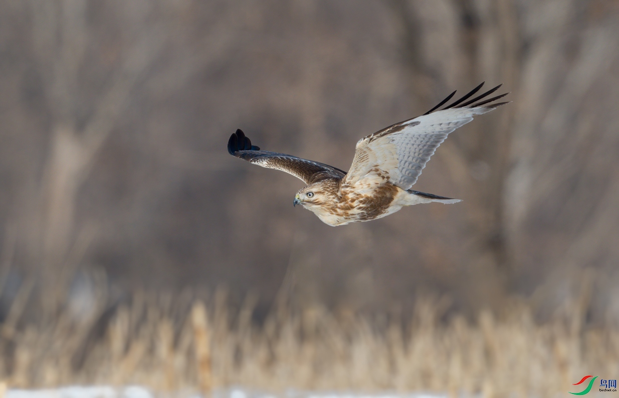 _DSC0394----.jpg