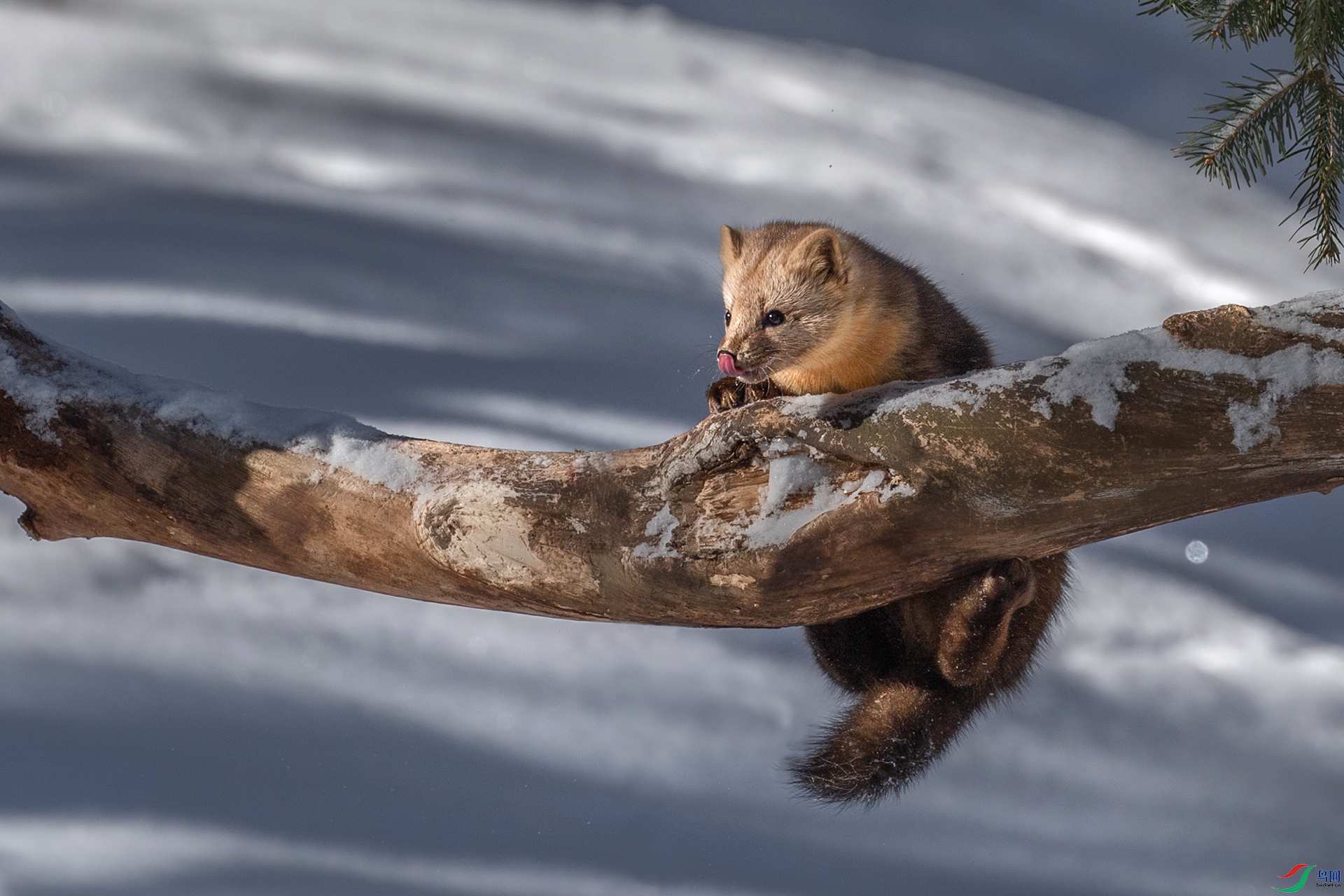 ����ů�����С��Ƥ