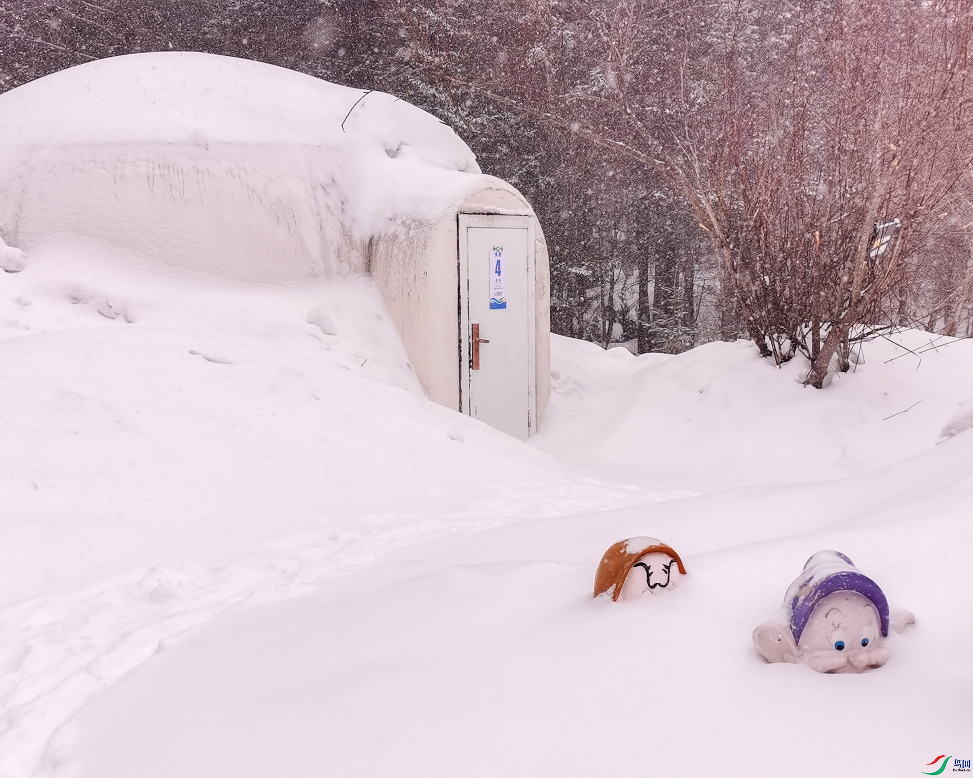 ͯ��������ġ�ѩ�������������ȣ�������װ�䡣