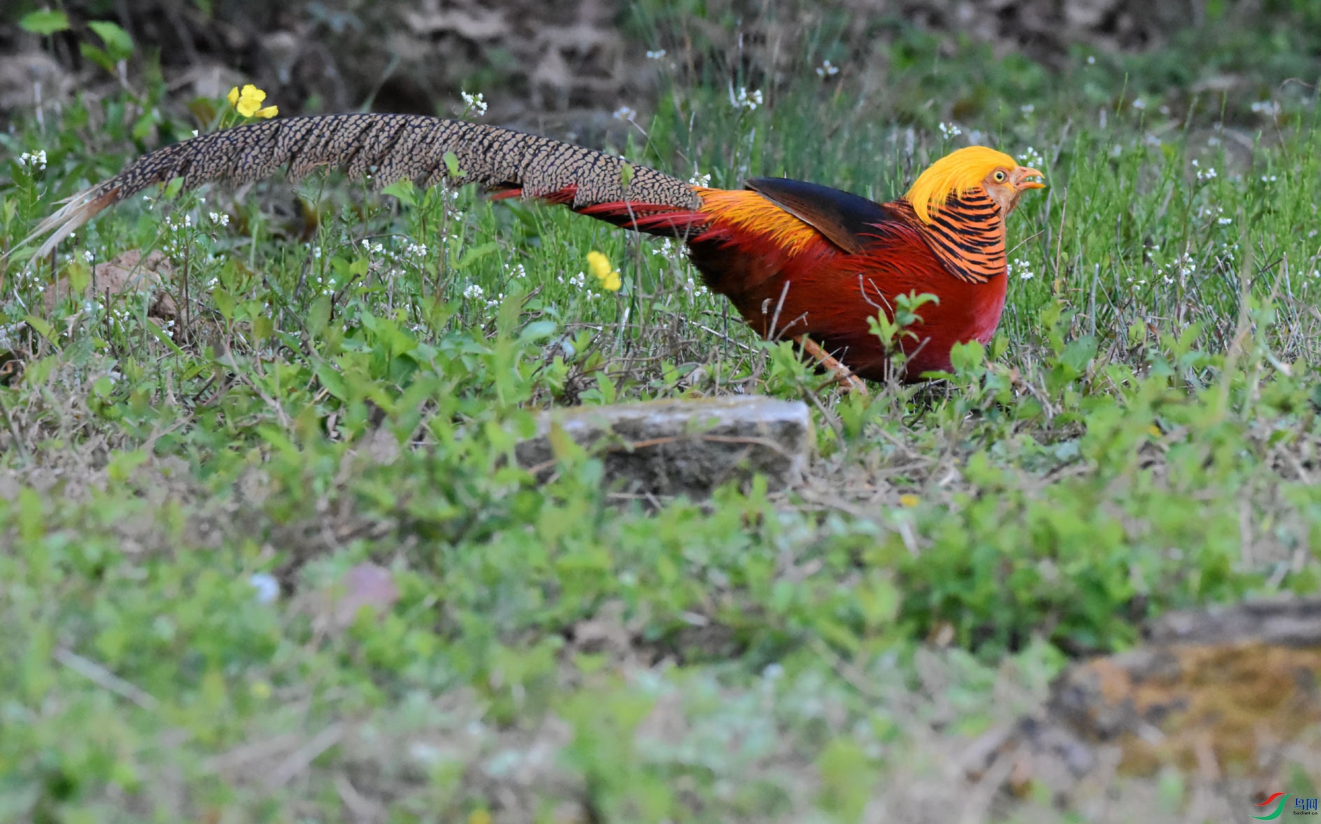 DSC_8864.JPG