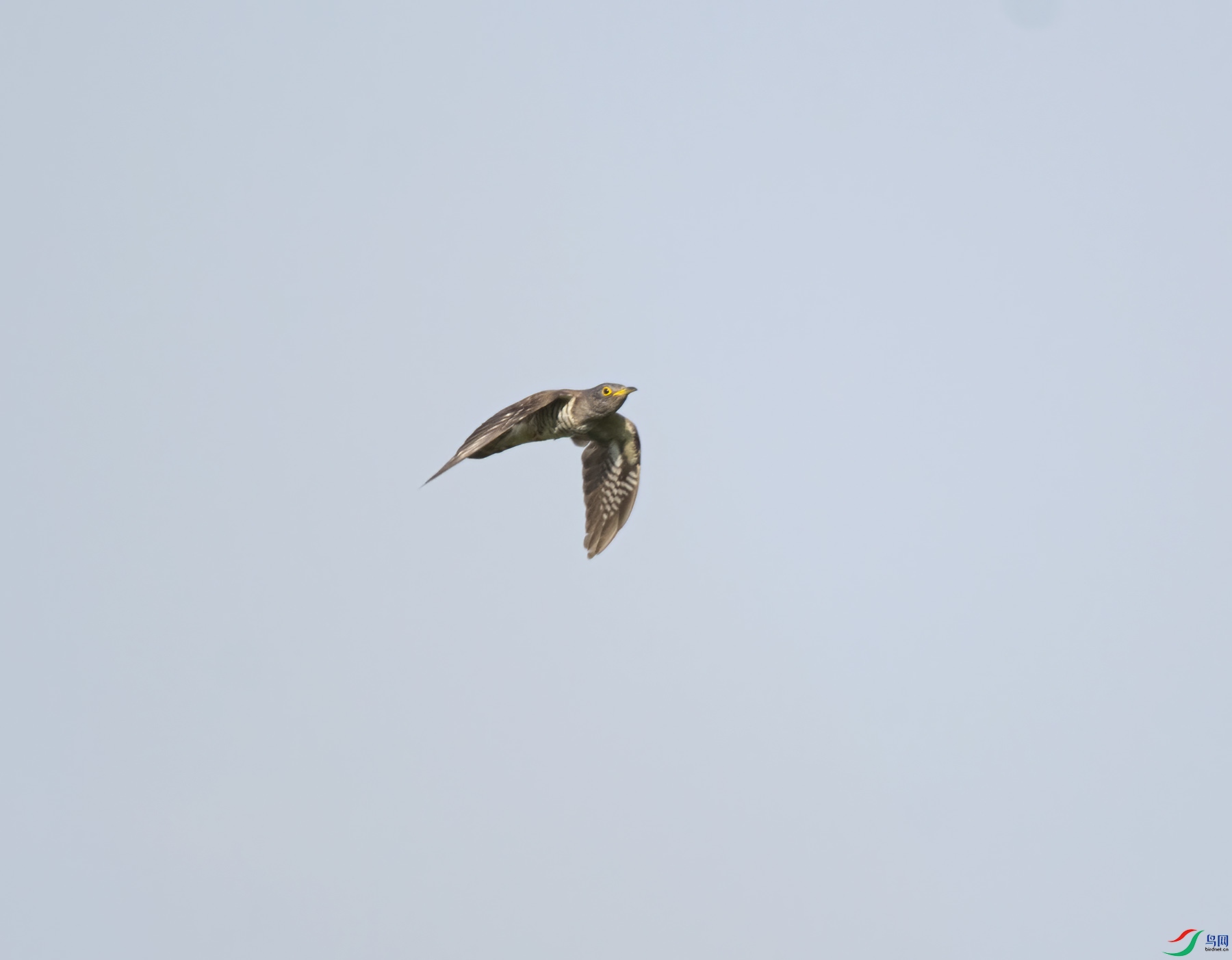 DSC_5600.jpg