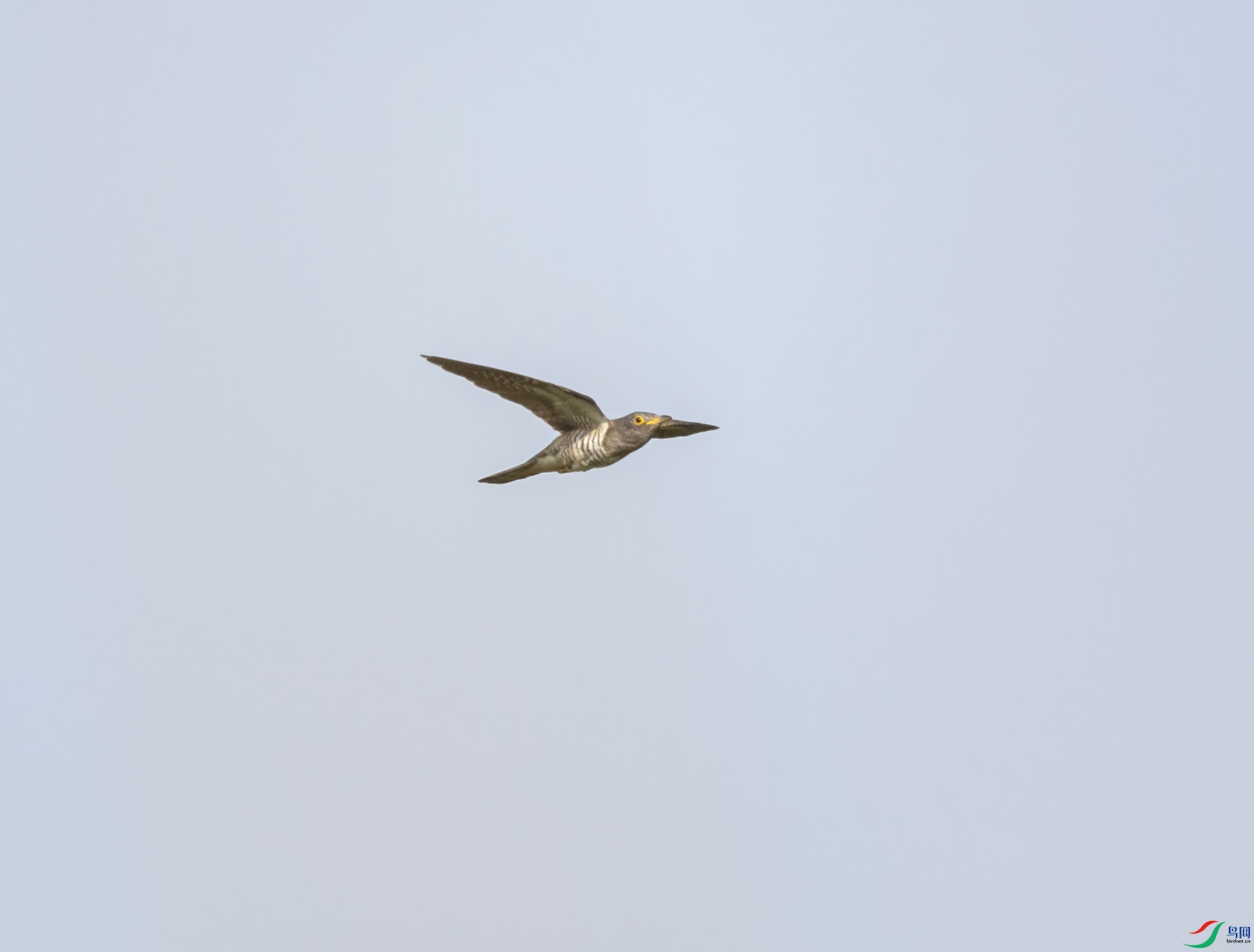 DSC_5602.jpg