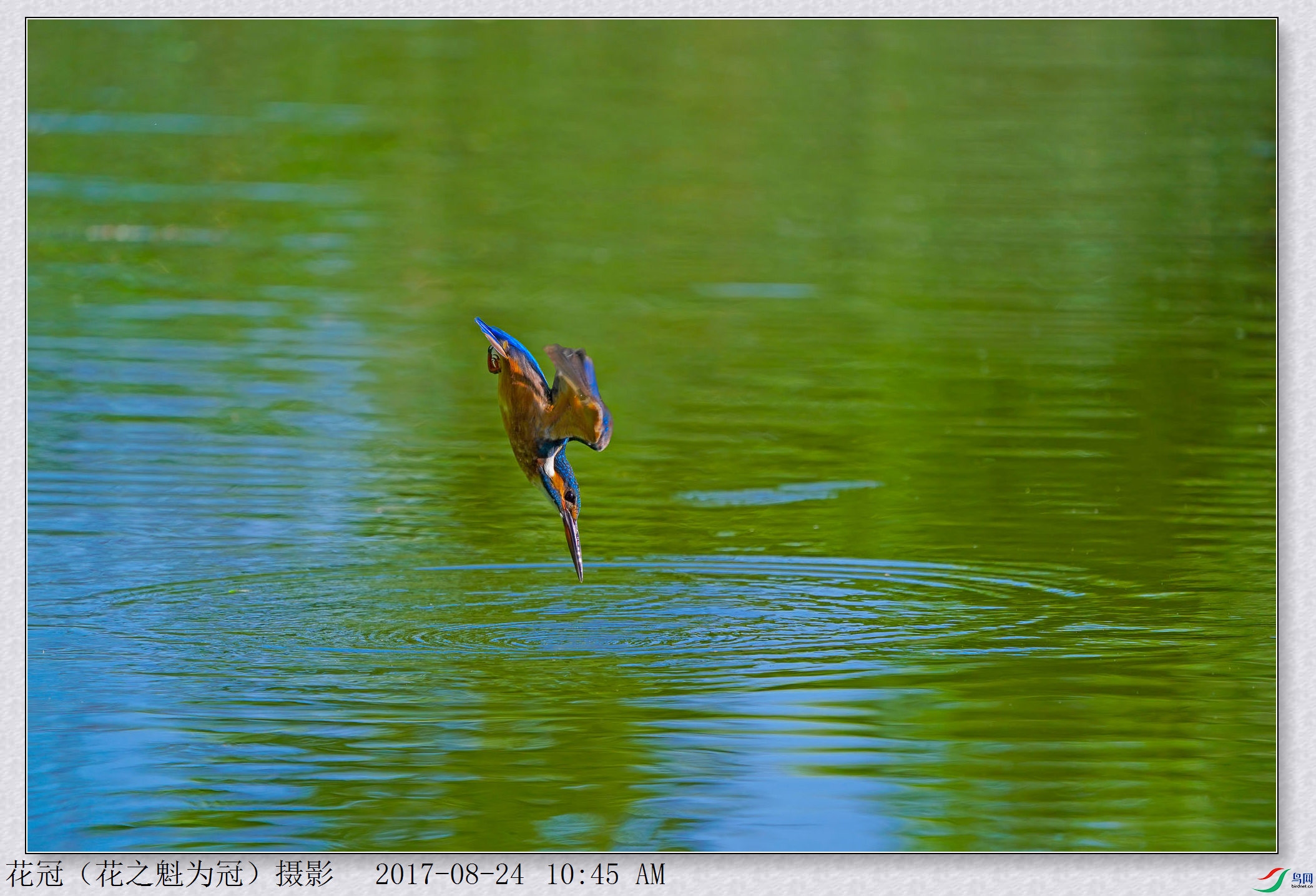DSC01373������С��A-DeNoiseAI-low-lightB-1_����.jpg