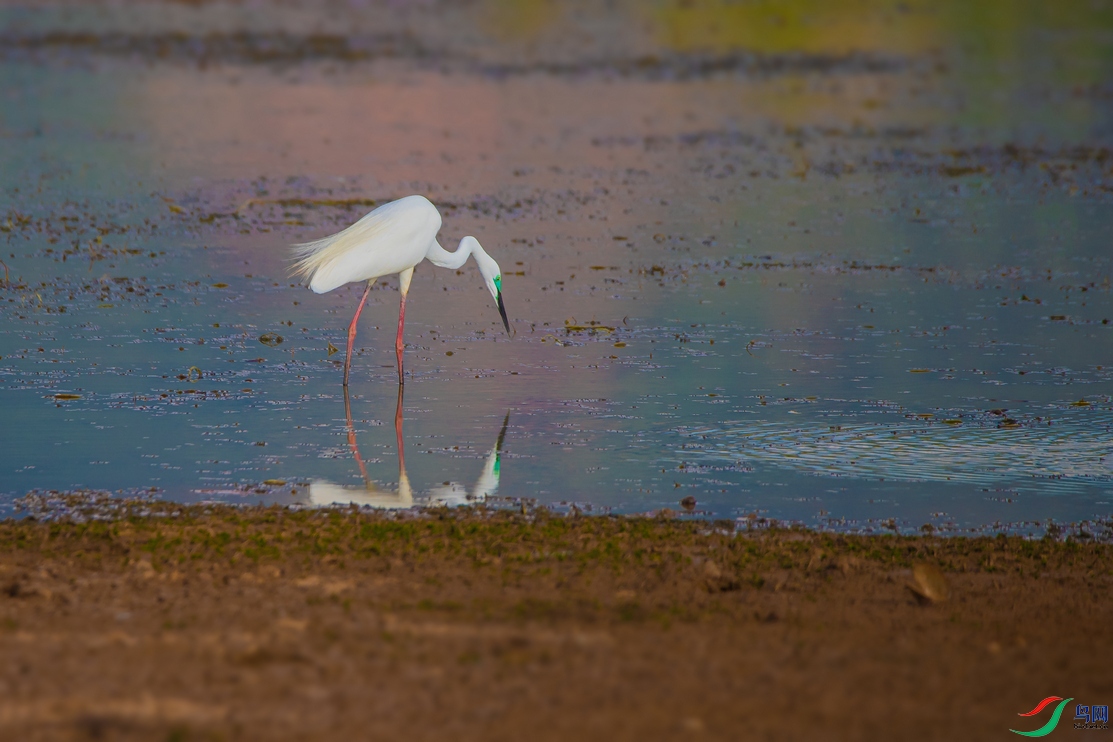 DSC_6216a.jpg