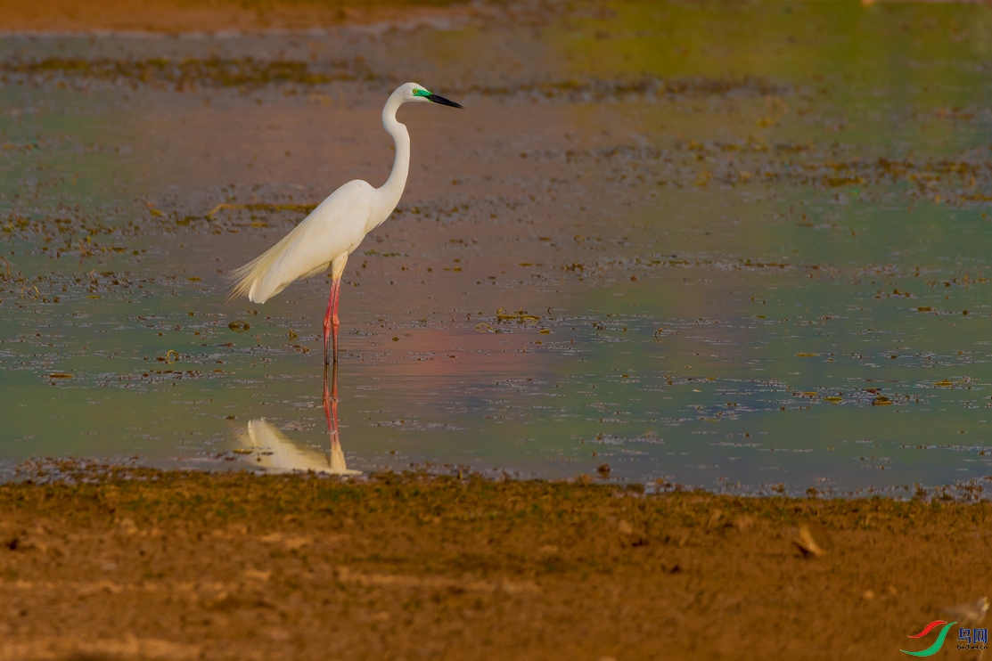 DSC_6218a.jpg