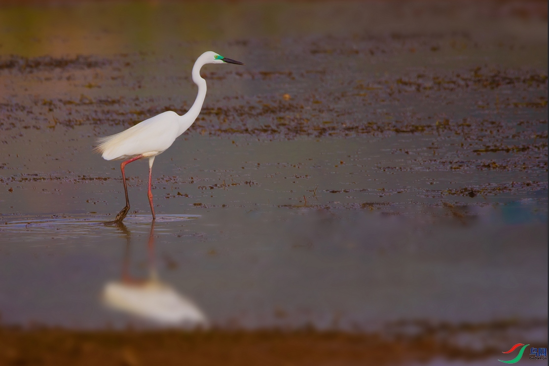 DSC_6233a.jpg