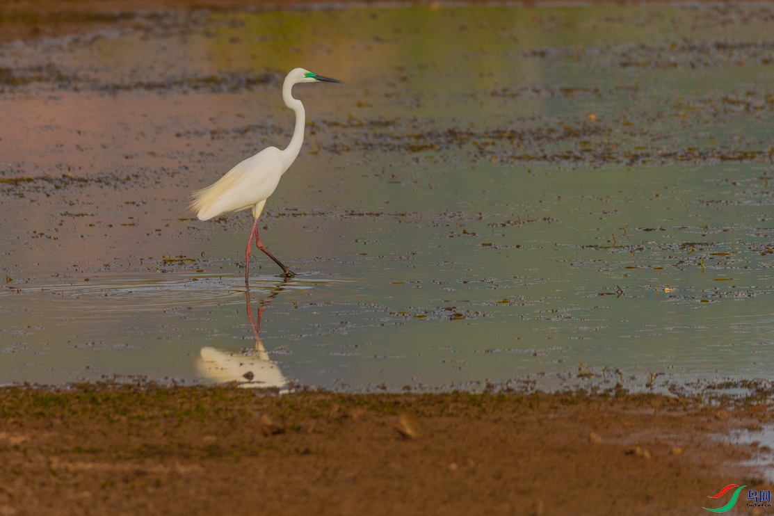 DSC_6230a.jpg